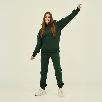 Жіночій спортивний костюм  утеплений з худі зелений 30004 фото